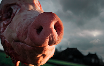 BAARCH wins best short film at Noorderkroon Competition!